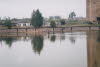 IMG (2)