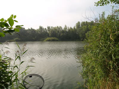 TE012070