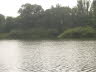 TE012074